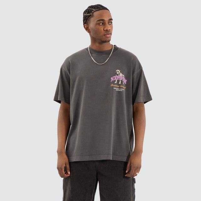 Model Wears Parole Raptor Tee Pigment Asphalt Grey T-Shirts in Grey - Image 2