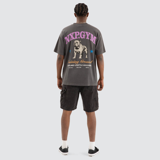 Model Wears Parole Raptor Tee Pigment Asphalt Grey T-Shirts in Grey - Image 4