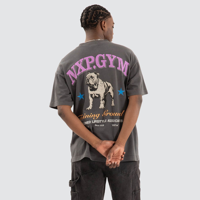 Model Wears Parole Raptor Tee Pigment Asphalt Grey T-Shirts in Grey - Image 1
