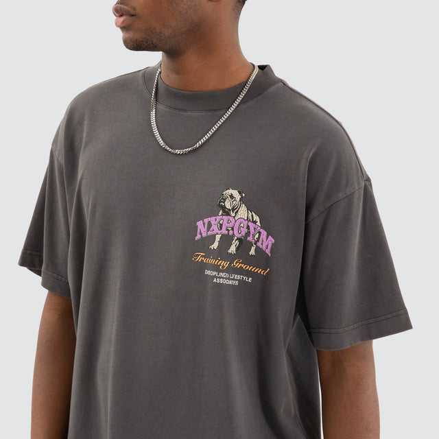 Model Wears Parole Raptor Tee Pigment Asphalt Grey T-Shirts in Grey - Image 3