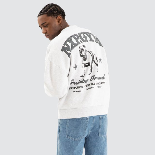 Model Wears Brawler Box Fit Sweater Snow Marle Grey Jumpers in Grey - Image 1