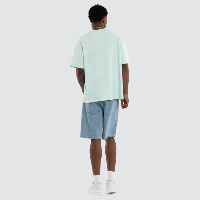 Foundation Raptor Tee Pastel Blue