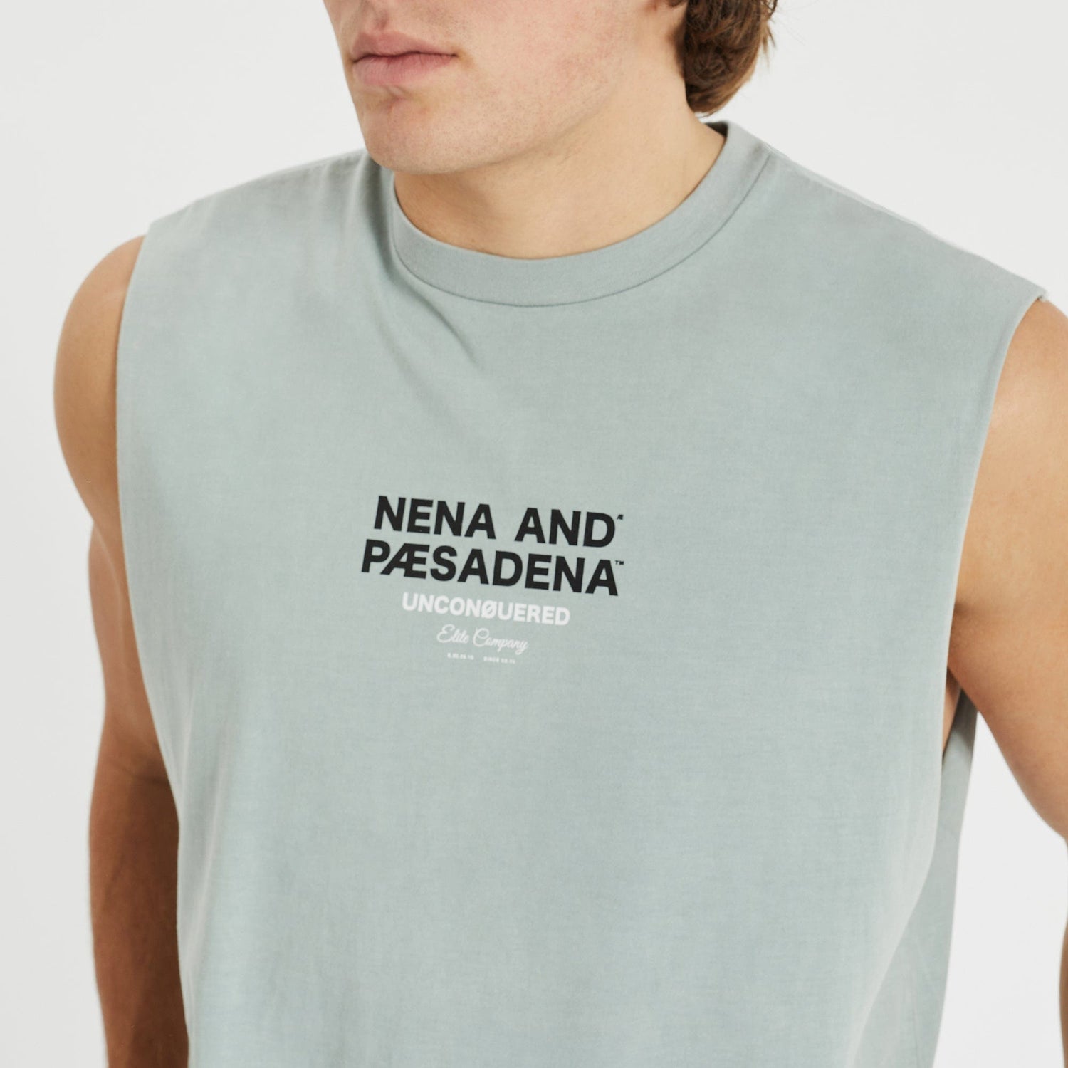 Echo Heavy Relaxed Muscle Tee Pigment Sage