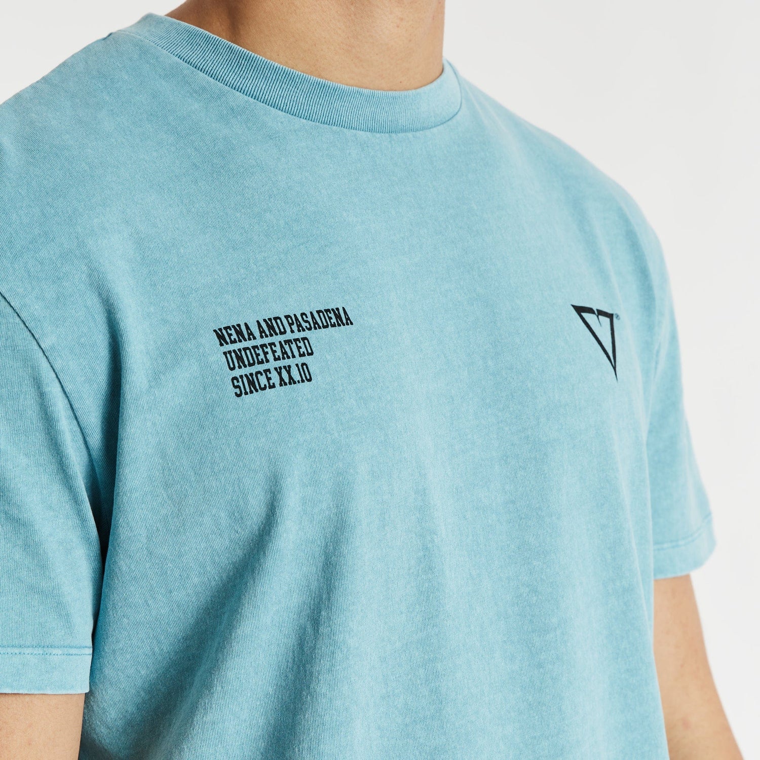 Mansion Relaxed T-Shirt Pigment Cameo